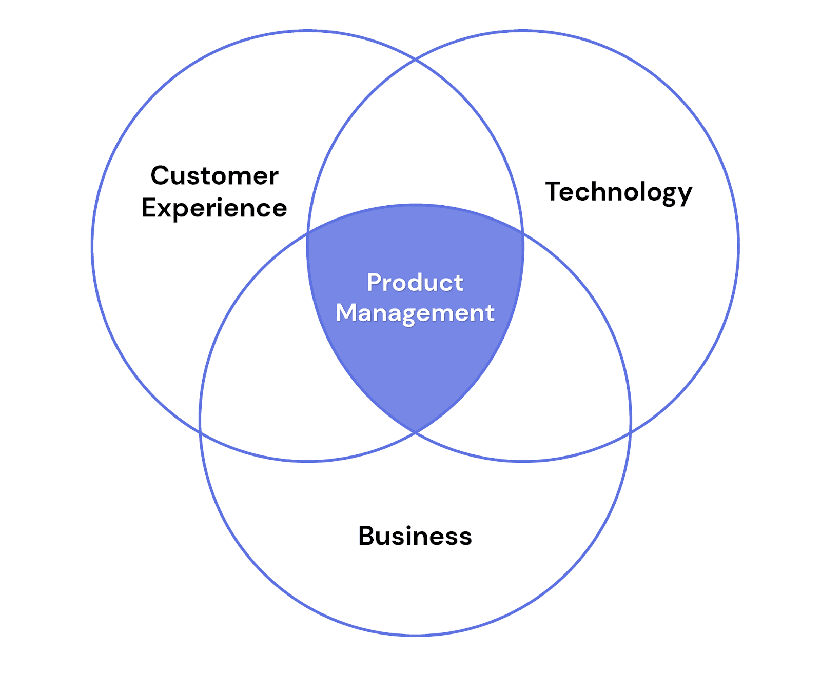 what is project management